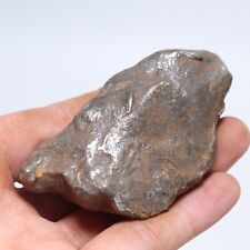 238g Gebel Kamil Iron Meteorite Meteor Shrapnel C6226 picture