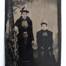 Tintype Photo Women Victorian Fashion Painted Backdrop picture