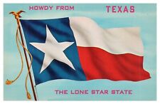 Vintage Howdy from Texas State Flag Postcard The Lonestar State Unused Chrome picture