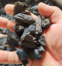 Black Gem Moldavite Meteorite Tektite Impact Glass Specimen 100G picture
