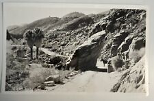 California Vintage Entrance To Palm Canyon Palm Beach Black White Postcard Photo picture