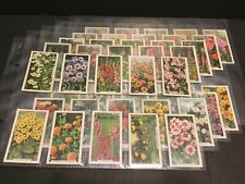 1938 Gallaher Garden Flowers Set of 48 Cards Sku237S picture