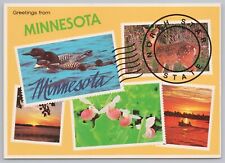 State View~5 Nature Views of Minnesota On Stamps~Continental Postcard picture
