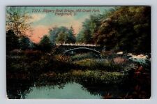 Youngstown OH-Ohio, Slippery Rock Bridge, Mill Creek Park, Vintage Postcard picture