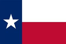 Texas Flag Die Cut Glossy Fridge Magnet picture