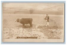 c1920's A Palestine Plowman Cow Field Farmer RPPC Photo Vintage Postcard picture
