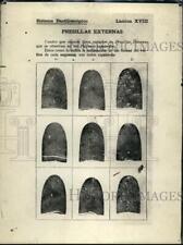 1914 Press Photo various Fingerprints of what is called Vucrtich external body picture