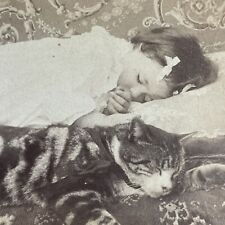 Antique 1898 Little Girl Falls Asleep With Large Cat Stereoview Photo Card P4064 picture