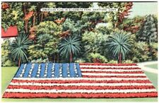 Vtg Postcard Hartford Connecticut American Flag Garden Elizabeth Park picture