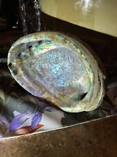 Abalone Shell Smudging Bowl Seashell Incense Burner, 5-6 Inches picture