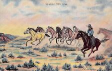Dude Larsen Western Cowboy Wild Horses Roping Lasso Mustang Vtg Postcard V4 picture