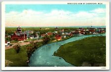 Birds Eye View of Cheboygan, Michigan - Postcard picture