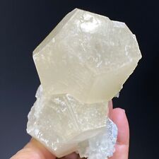 223g Natural Yellow Shell Calcite Mineral Specimen/HuNan picture