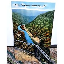 Vintage 1930s Bradley Wales Lookout Grand Canyon Of Pennsylvania Linen Post Card picture