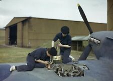Royal Navy Wrens Re-Arm a Hawker Hurricane Yeovilton 1943 Re-Print WWII WW2 4x6 picture