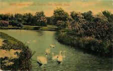 Topeka Kansas~Central Park~Swans on Lake~1910 Postcard picture