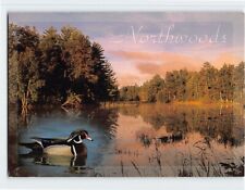 Postcard Northwoods Nature Scene picture