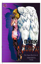 Dark Utopia #6 (Broken Halos) Feb 2000, Timothy B. Vigil, low print run picture