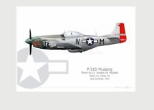 Warhead Illustrated P-51D Mustang 369th FS, 359th FG Stinky Aircraft Print picture