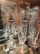 6 Warsteiner .2L Beer Glasses Gold Trim Family Tradition Excellent Condition picture
