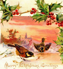 c1905 Christmas, holly, birds, Raphael Tuck, embossed, Manchester, NH, undivided picture