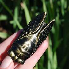 XL Gold Sheen Obsidian Carved Crystal Cicada picture