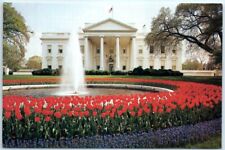 Postcard - North Lawn of the White House - Washington, District of Columbia picture
