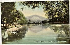 c1916 San Bernardino California CA Urbita Springs Postcard picture