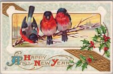 Vintage 1910s HAPPY NEW YEAR Embossed Postcard Birds on Tree Branch STECHER 222B picture