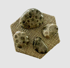 A SET OF 4 PETOSKEY STONES -  picture