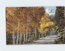 Postcard Fall Scene in Colorado Rockies USA picture