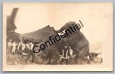 Real Photo Pair Of Performing Elephants Circus Trainers & Tents RPPC RP J59 picture