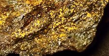 Gold Ore Sample 23.4g Lots Of Visible Gold - 1312 From Ontario picture