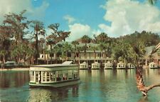 Silver Springs Florida, Glass Bottom Boats, Vintage Postcard picture