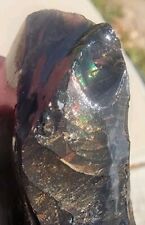 FIRE OBSIDIAN - High Quality - VERY RARE Rough From GLASS BUTTE OR. (75 grams)  picture