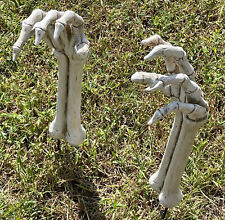Large Skeleton Arms Hands Creepy Halloween Decoration Grave Yard Cemetery Bones picture