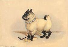 1880s-90s Cute Pug Victorian Trade Card P200 picture