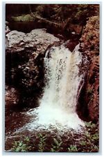 c1950's Ramsey Falls Park Camping Picnicking Redwood Falls Minnesota MN Postcard picture