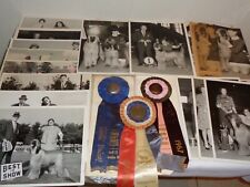 Afghan Champion Dog 1967 American Kennel Club Ribbons & Photo Rare Lot picture