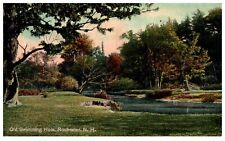 Rochester NH New Hampshire Old Swimming Hole River Scene Postcard Posted 1912 picture