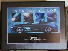 VERY RARE Signed Framed Autographed STEVE SALEEN Mystic Mustang BASF picture