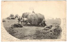 1906 CONWAY MA Photo Postcard Hay Harvest Time 2 Draft Horses pulling HAY WAGON picture