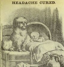 1870's-80's Dr. Mettaur's Headache Pills Lovely Baby In Bed Dog Lovely Card F75 picture
