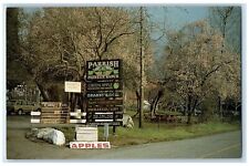 c1960's Parrish Pioneer Ranch Yucaipa California CA Unposted Vintage Postcard picture