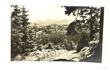 Antique 1915 RPPC Postcard Ilmenau ( Thür.) Blick zum Gabelbach Ansichtskarte picture