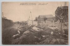 Dayton Ohio Fertilizing Plant Flood Dead Animals Cattle Horses Postcard A40 picture