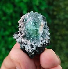 Natural Green Apophyllite on Chalcedony Mineral Specimen #1346 picture