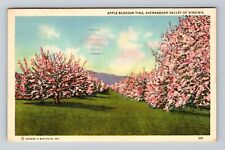 Shenandoah Valley VA-Virginia, Apple Blossom Time Antique Vintage c1941 Postcard picture