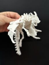 Articulated Skeleton Dragon With Wings Flexi Toy picture