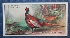 COMMON PHEASANT  Mongolian Variety  Vintage 1920's Card    CD20 picture